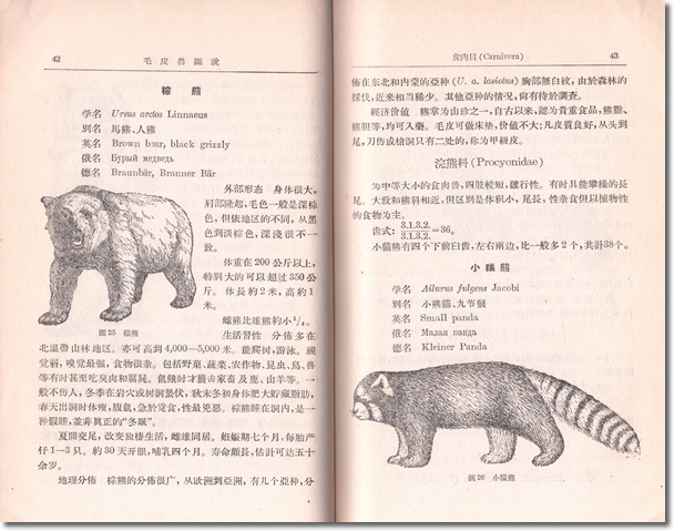 195.『毛皮獣図説』寿振黄著、科学出版社、1958年